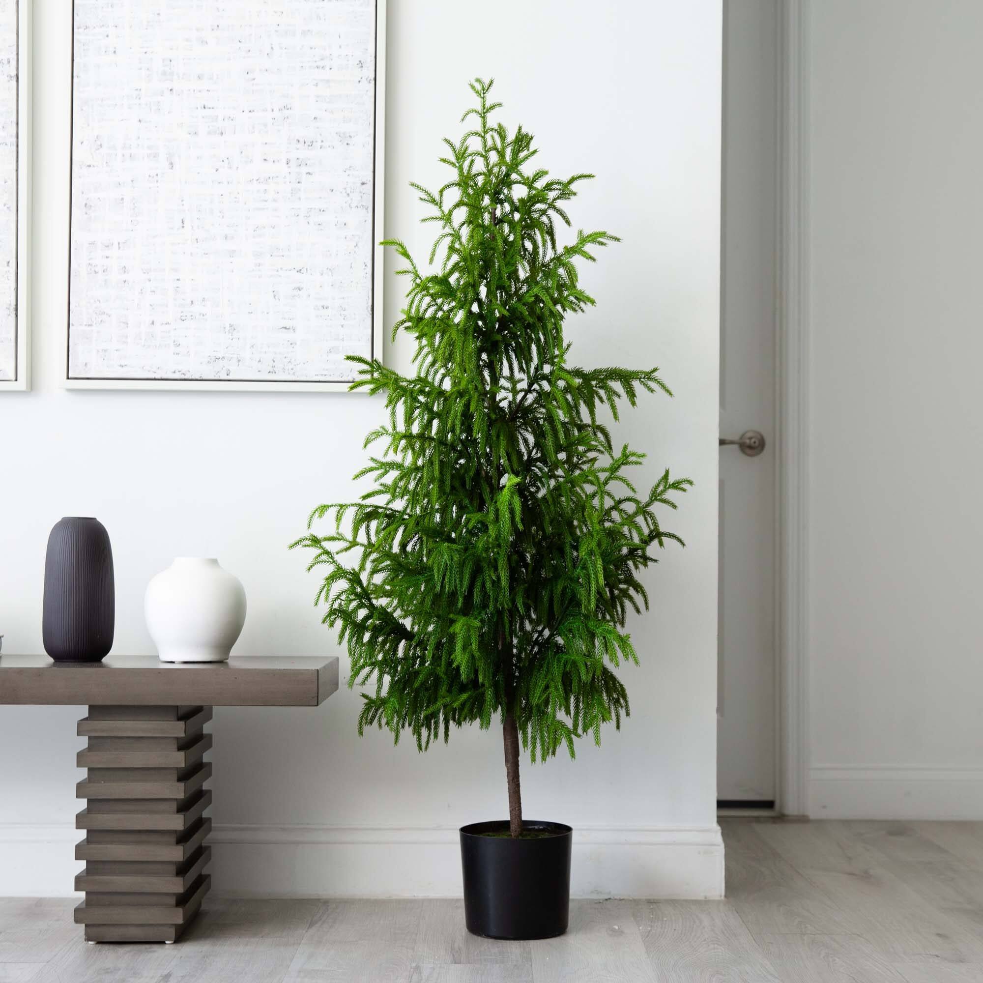 5ft. Unlit Norfolk Pine Artificial Potted Christmas Tree